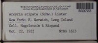 Image Associated With the Occurence